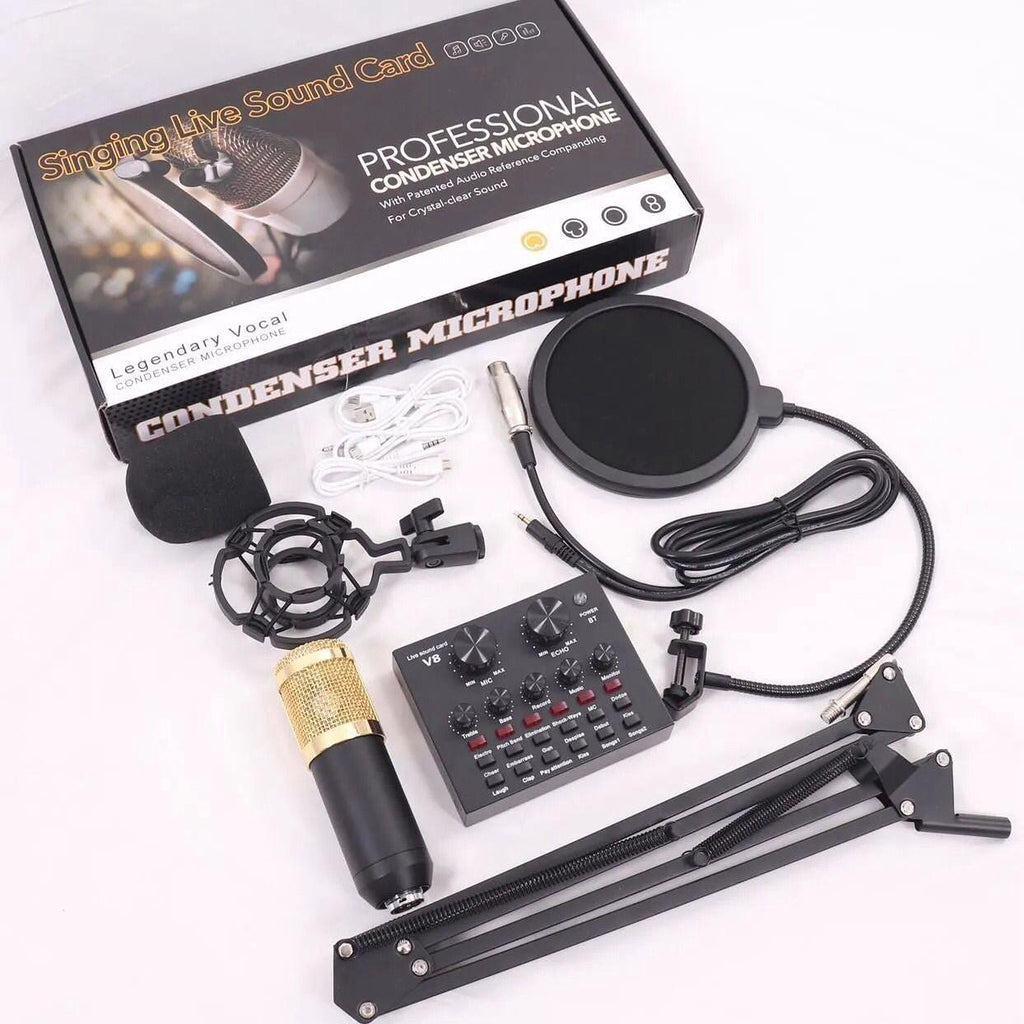 Professional Condenser Microphone Kit (V8)
